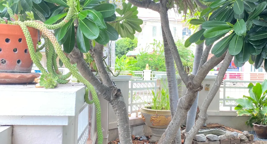 Casa en alquiler de 3 habitaciones en Mueang Khon Kaen, Khon Kaen