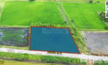 À vendre terrain à Phutthamonthon, Nakhon Pathom