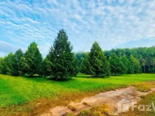 Продажа Участок в Клаенг, Районг