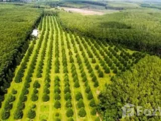 Продажа Участок в Клаенг, Районг