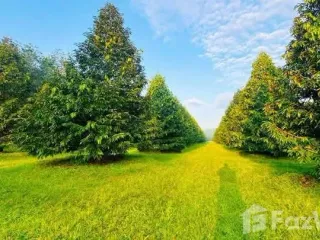 Продажа Участок в Клаенг, Районг