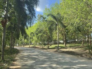Gewerbefläche zur Miete in Mueang Phuket, Phuket