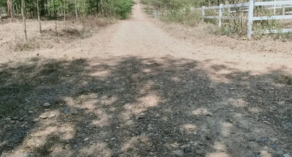 Grundstück zum Kauf in Sai Yok, Kanchanaburi