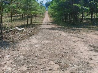 Terreno en venta en Sai Yok, Kanchanaburi