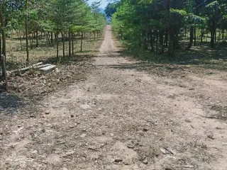Grundstück zum Kauf in Sai Yok, Kanchanaburi