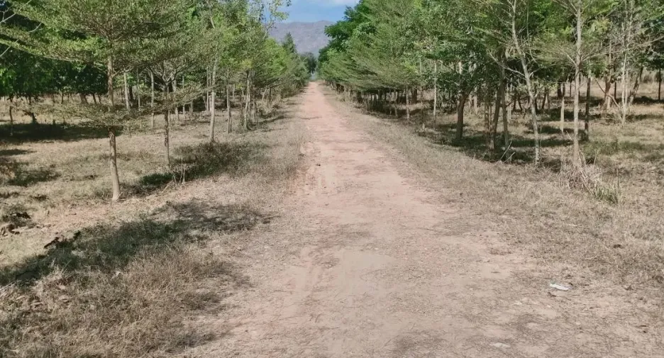 Grundstück zum Kauf in Tha Muang, Kanchanaburi