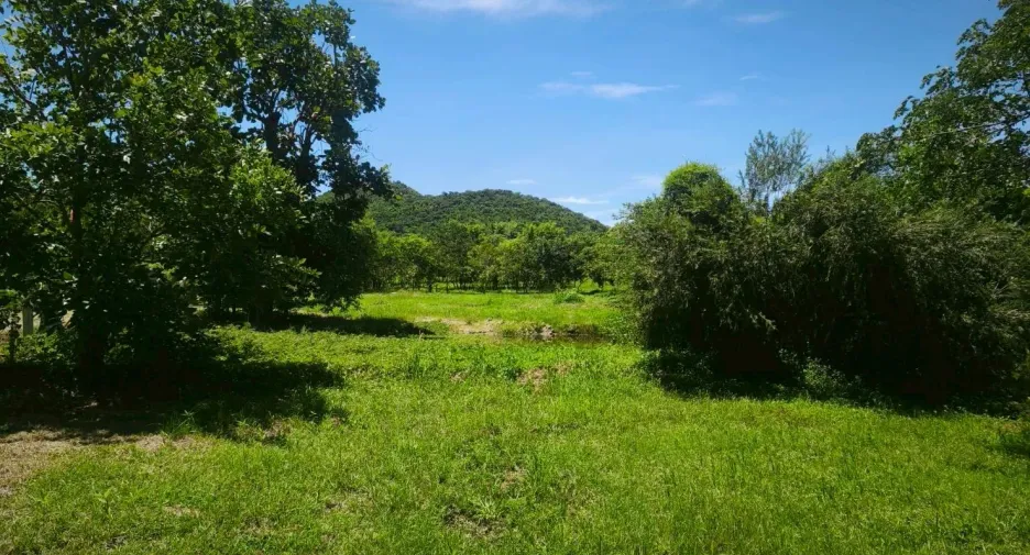 Casa en venta y en alquiler de 1 habitaciones en Pran Buri, Prachuap Khiri Khan