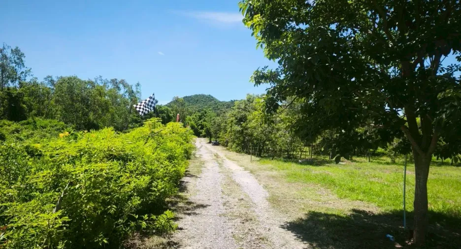 Casa en venta y en alquiler de 1 habitaciones en Pran Buri, Prachuap Khiri Khan