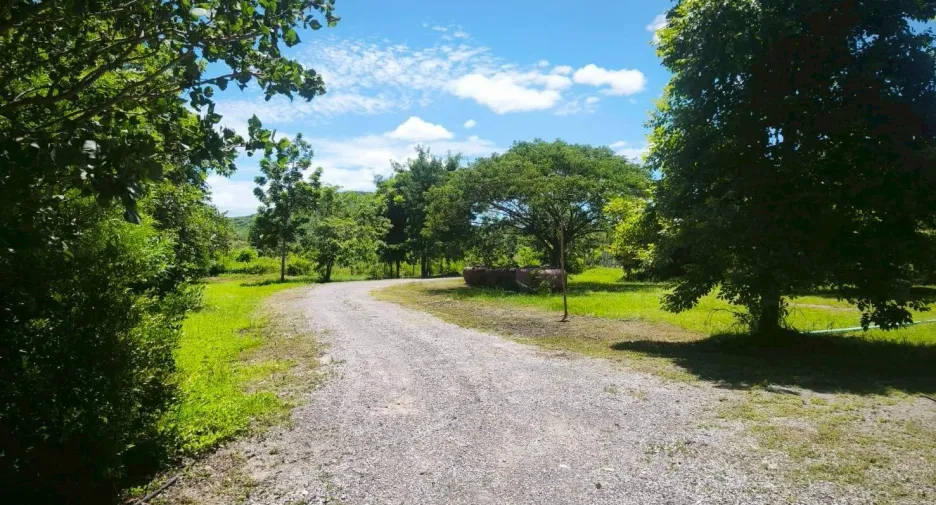 Casa en venta y en alquiler de 1 habitaciones en Pran Buri, Prachuap Khiri Khan