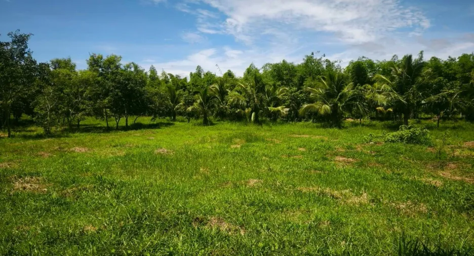 Casa en venta y en alquiler de 1 habitaciones en Pran Buri, Prachuap Khiri Khan