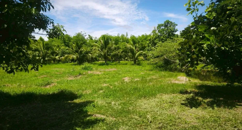 Casa en venta y en alquiler de 1 habitaciones en Pran Buri, Prachuap Khiri Khan