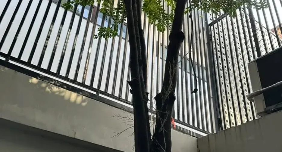 For sale 5 bedrooms house in Din Daeng, Bangkok