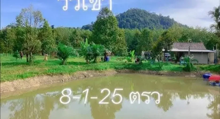 For sale land in Klaeng, Rayong