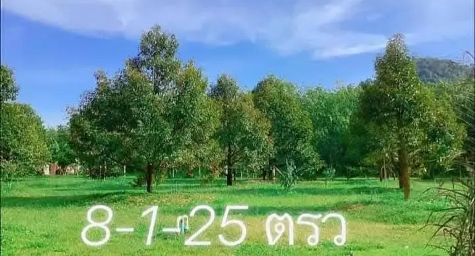 For sale land in Klaeng, Rayong