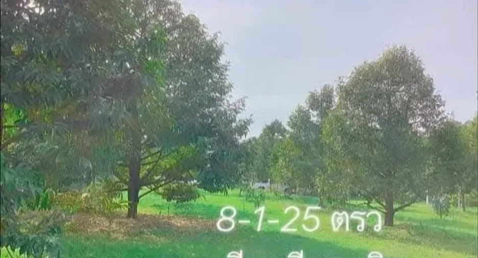 For sale land in Klaeng, Rayong