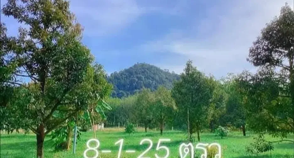 For sale land in Klaeng, Rayong