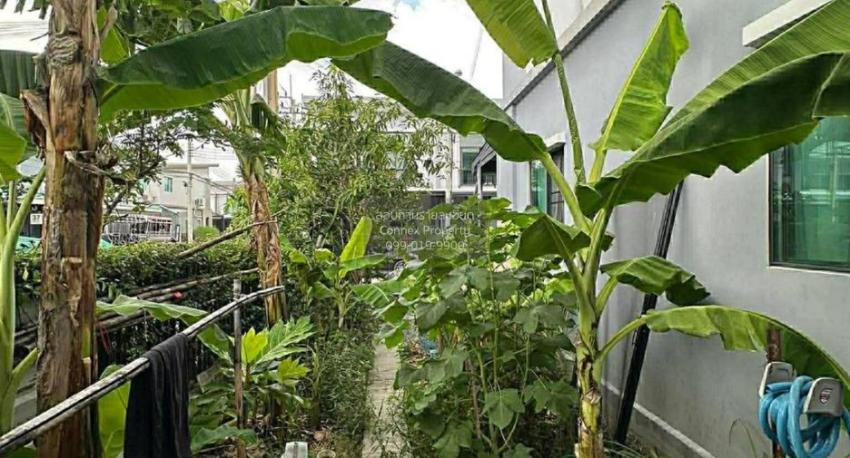 ขาย 3 ห้องนอน ทาวน์เฮ้าส์ ใน บางแค, กรุงเทพฯ