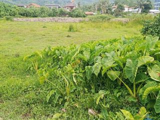 For sale land in Thalang, Phuket