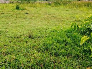 For sale land in Thalang, Phuket