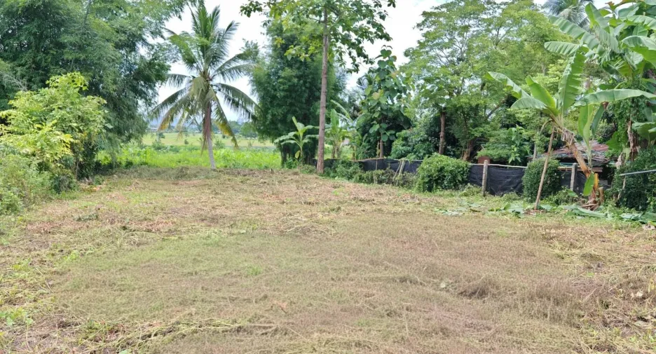 Grundstück zum Kauf in Mae Taeng, Chiang Mai