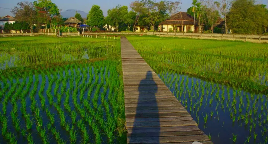 Casa en venta de 4 habitaciones en Mae Rim, Chiang Mai