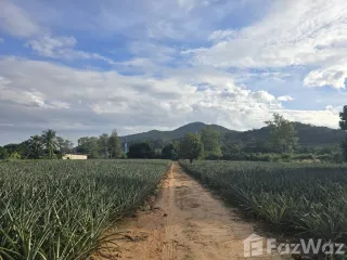 出售 土地 在 Pran Buri, 班武里府