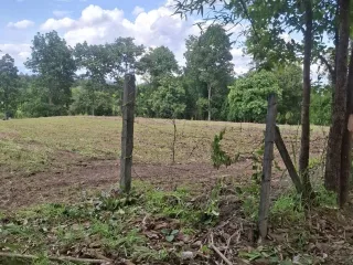 For sale land in Mae Rim, Chiang Mai