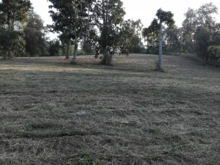 For sale land in Mae Rim, Chiang Mai