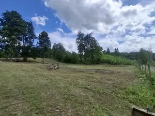 For sale land in Mae Rim, Chiang Mai