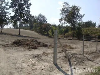 For sale land in Mae Rim, Chiang Mai