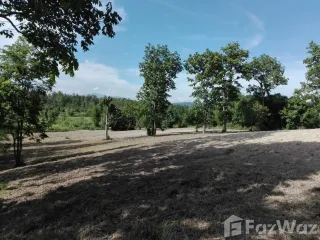 For sale land in Mae Rim, Chiang Mai