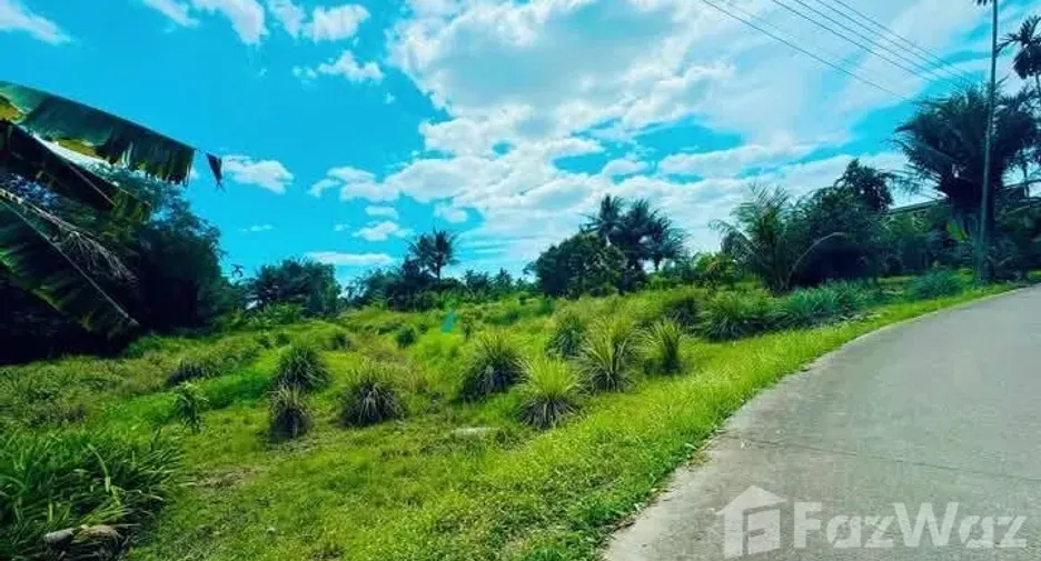 For sale land in Mueang Rayong, Rayong