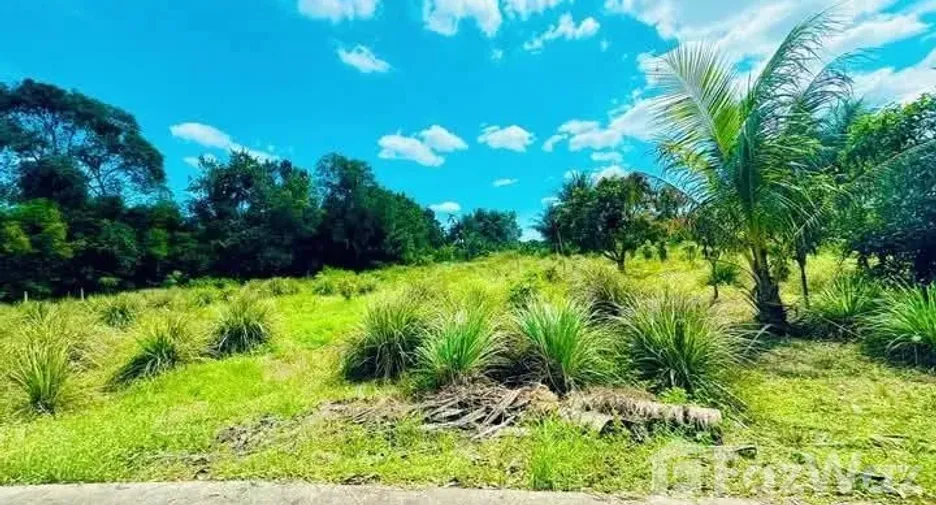 For sale land in Mueang Rayong, Rayong