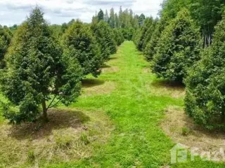 Продажа Участок в Клаенг, Районг