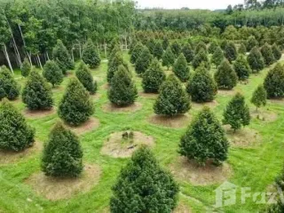Продажа Участок в Клаенг, Районг