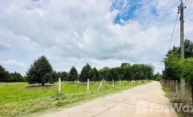 For sale land in Klaeng, Rayong