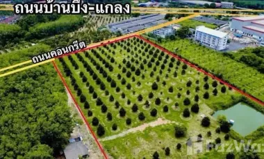 For sale land in Klaeng, Rayong