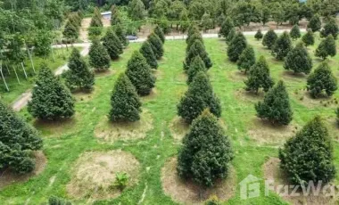 For sale land in Klaeng, Rayong