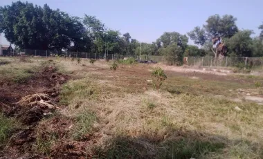 For sale land in Nong Suea, Pathum Thani