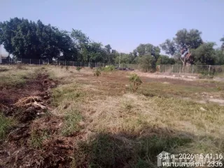 Grundstück zum Kauf in Nong Suea, Pathum Thani