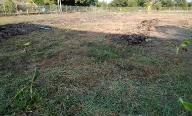 For sale land in Nong Suea, Pathum Thani