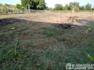 Grundstück zum Kauf in Nong Suea, Pathum Thani