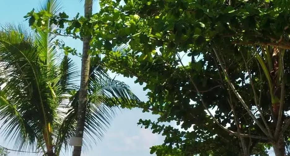 Hotel zum Kauf mit 20 Zimmer in Mueang Krabi, Krabi