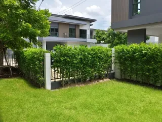出租 4 卧室 独立屋 在 Khlong Luang, Pathum Thani