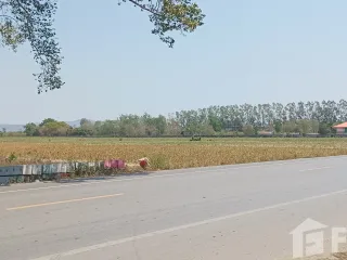 For sale land in Plaeng Yao, Chachoengsao