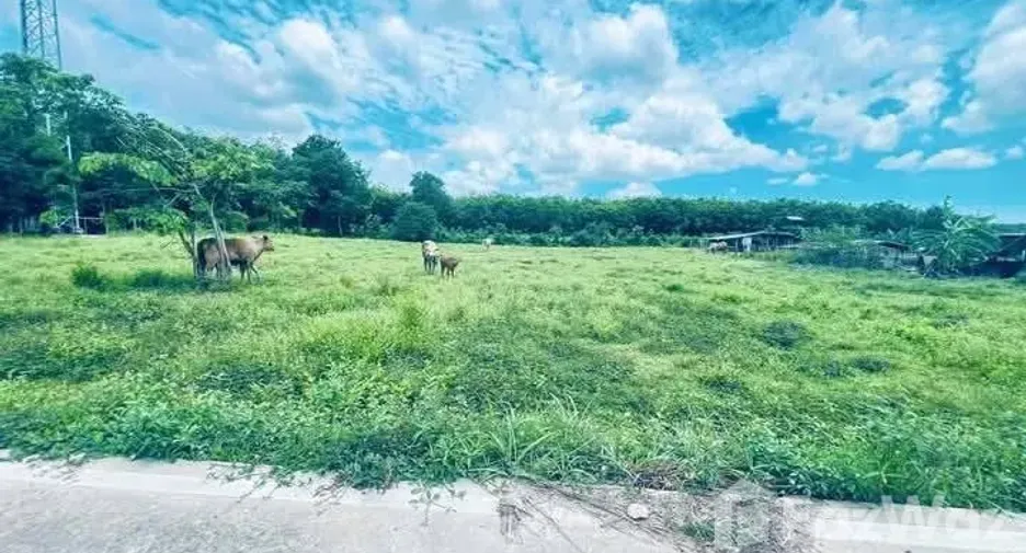 For sale land in Mueang Rayong, Rayong
