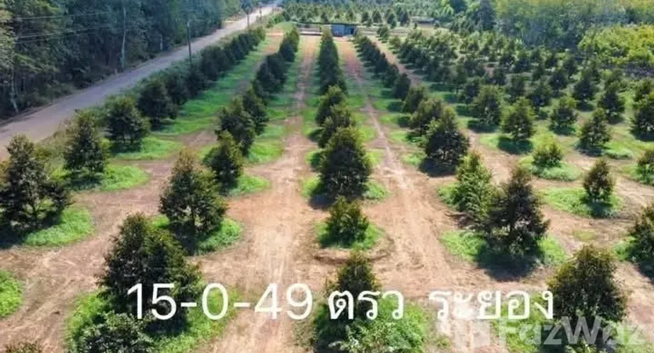 For sale land in Mueang Rayong, Rayong