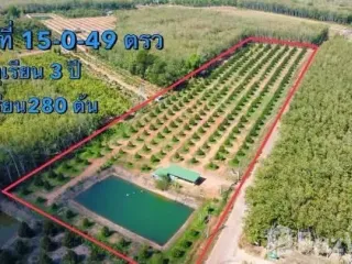 For sale land in Mueang Rayong, Rayong