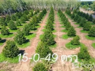 For sale land in Mueang Rayong, Rayong