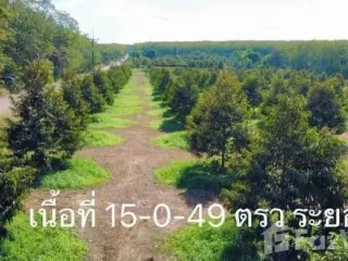 For sale land in Mueang Rayong, Rayong